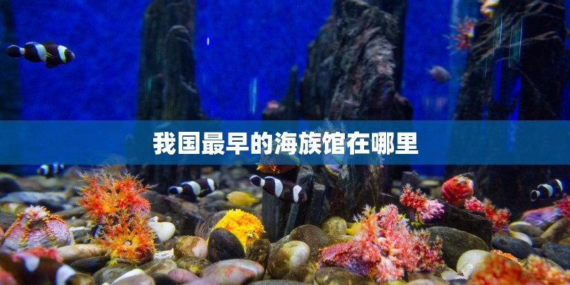 我国最早的海族馆在哪里