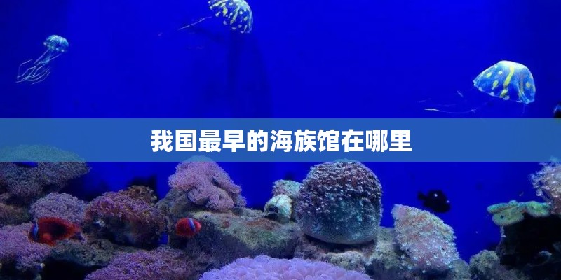 我国最早的海族馆在哪里
