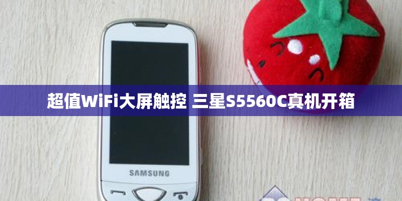 超值WiFi大屏触控 三星S5560C真机开箱