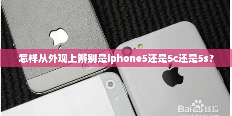 怎样从外观上辨别是iphone5还是5c还是5s？
