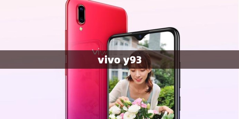 vivo y93