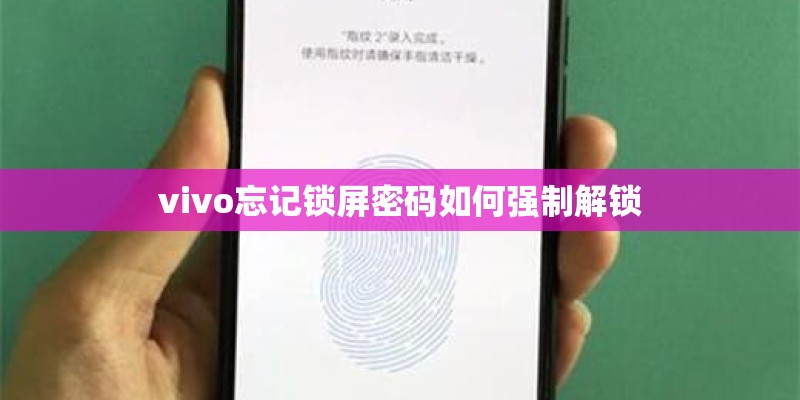 vivo忘记锁屏密码如何强制解锁