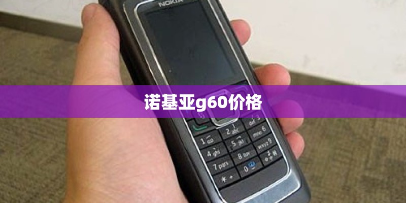 诺基亚g60价格