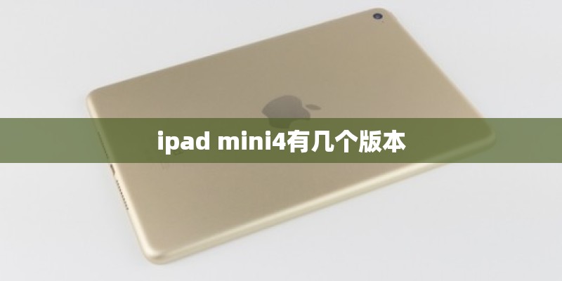 ipad mini4有几个版本