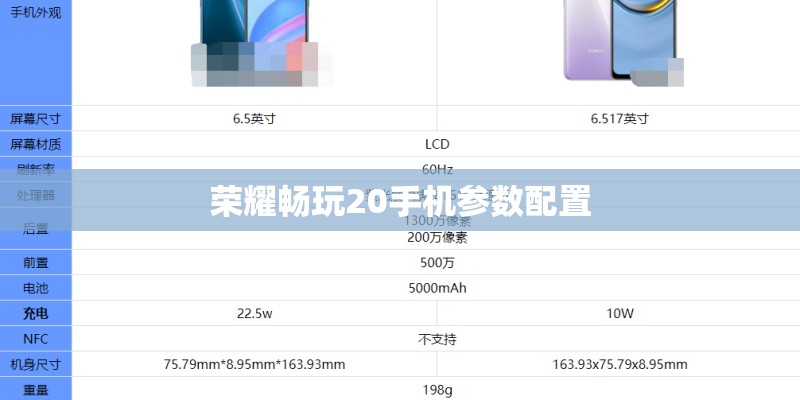 荣耀畅玩20手机参数配置