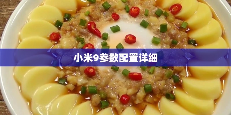 小米9参数配置详细