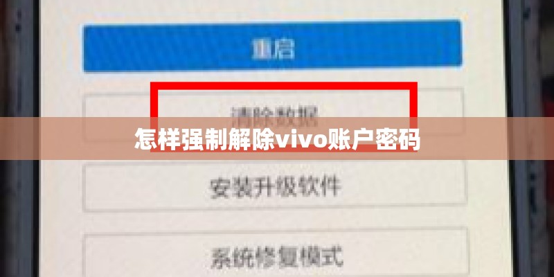 怎样强制解除vivo账户密码