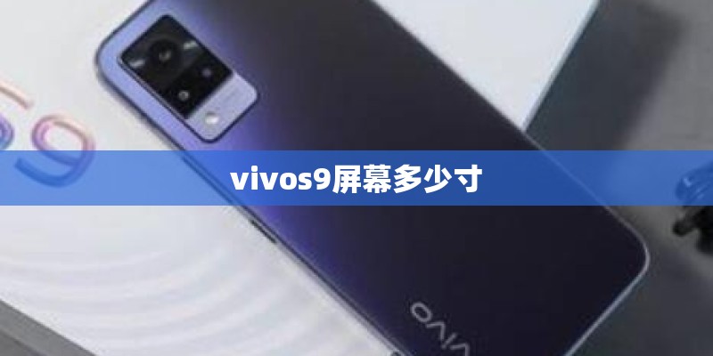 vivos9屏幕多少寸
