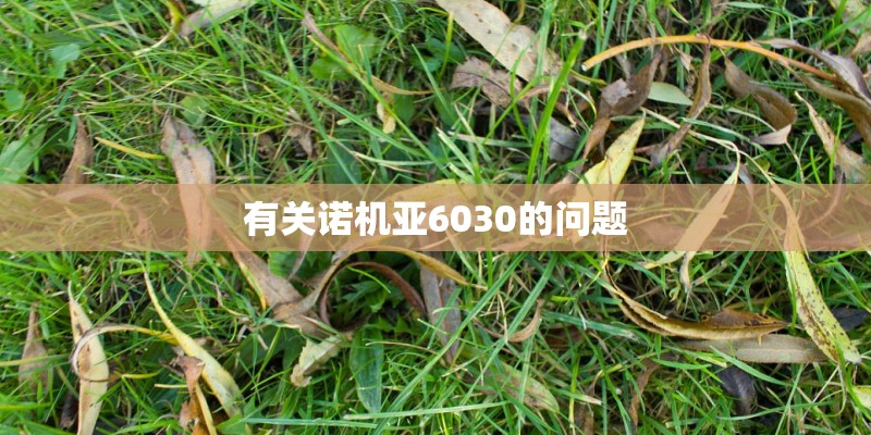 有关诺机亚6030的问题
