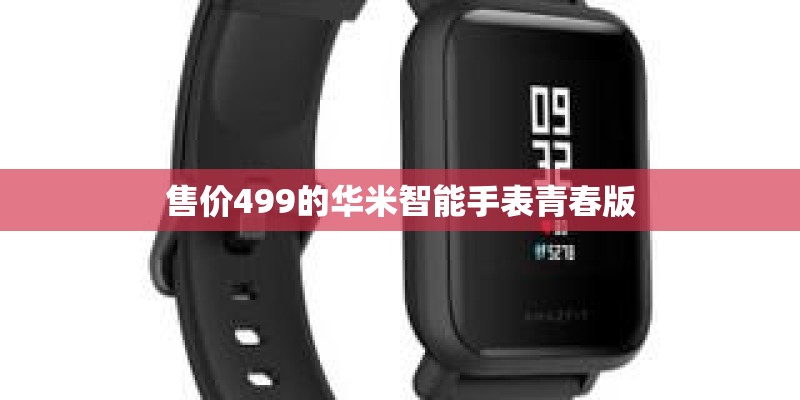 售价499的华米智能手表青春版